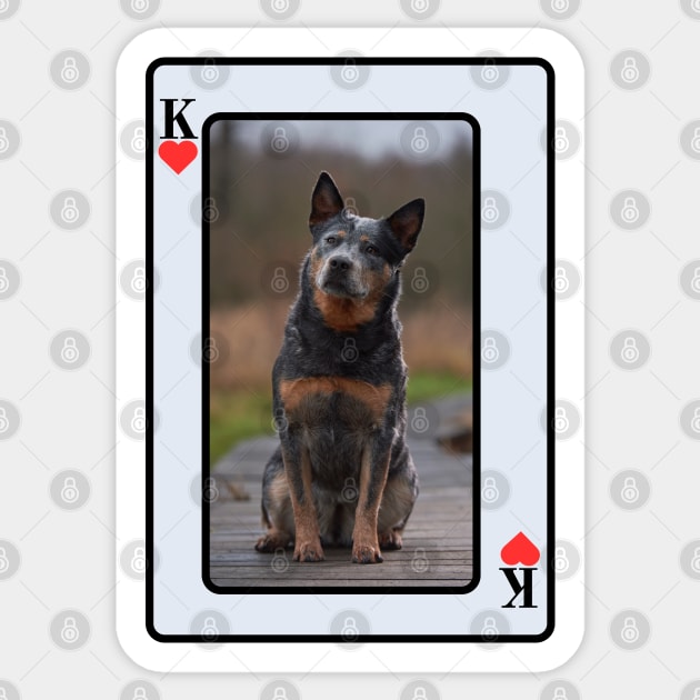 Blue Cattle Dog Sticker by HighwayForSouls